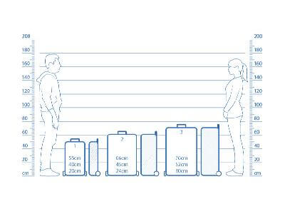 Illustration Of Size Guide