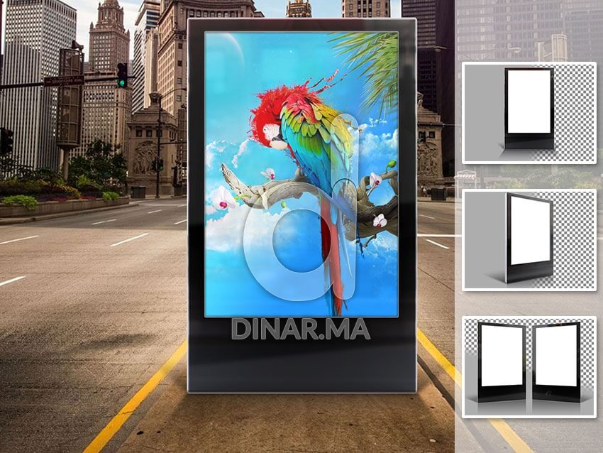 Poster Display Cases